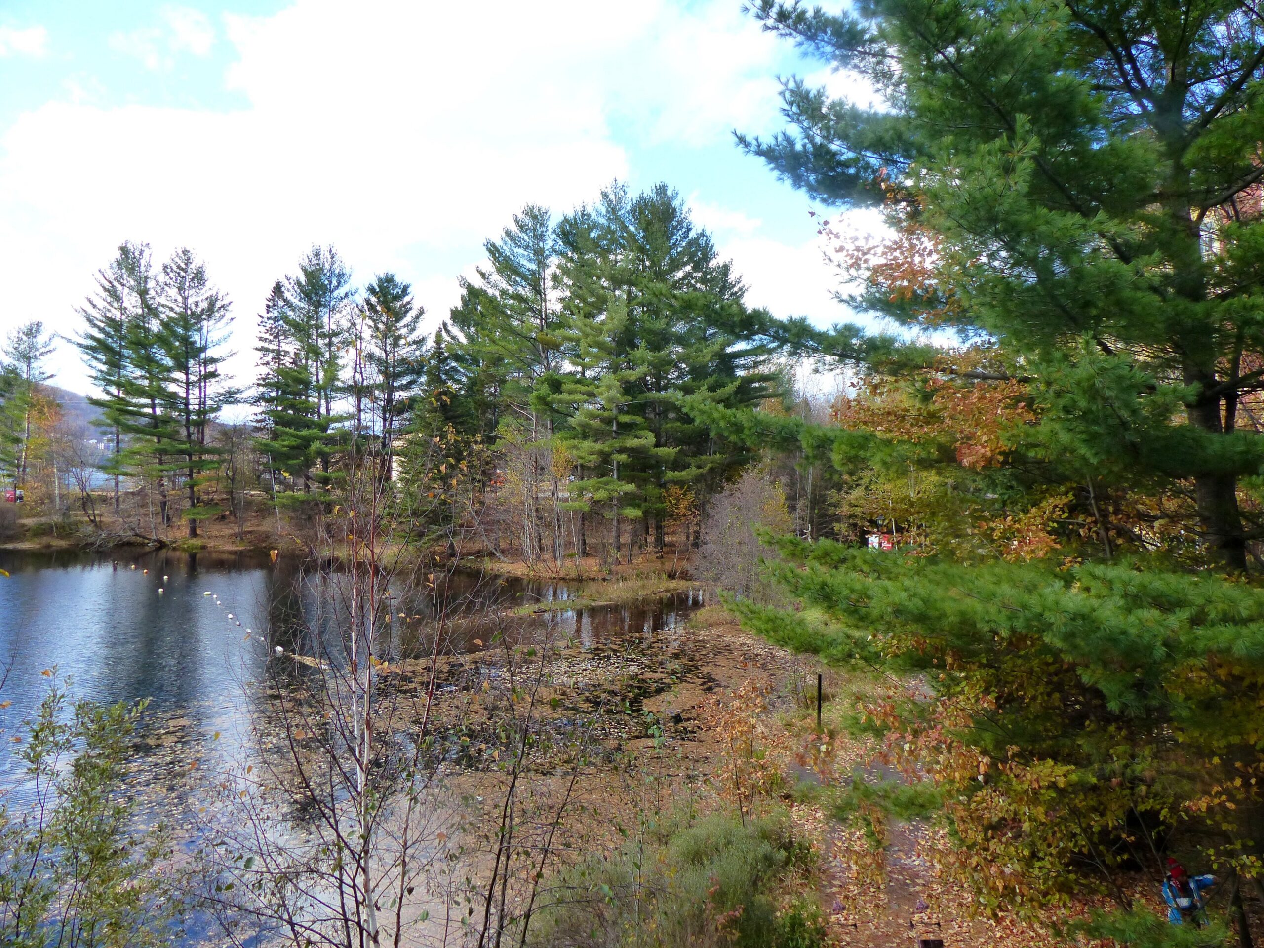 Un lago fra i boschi delle Laurentides, in autunno