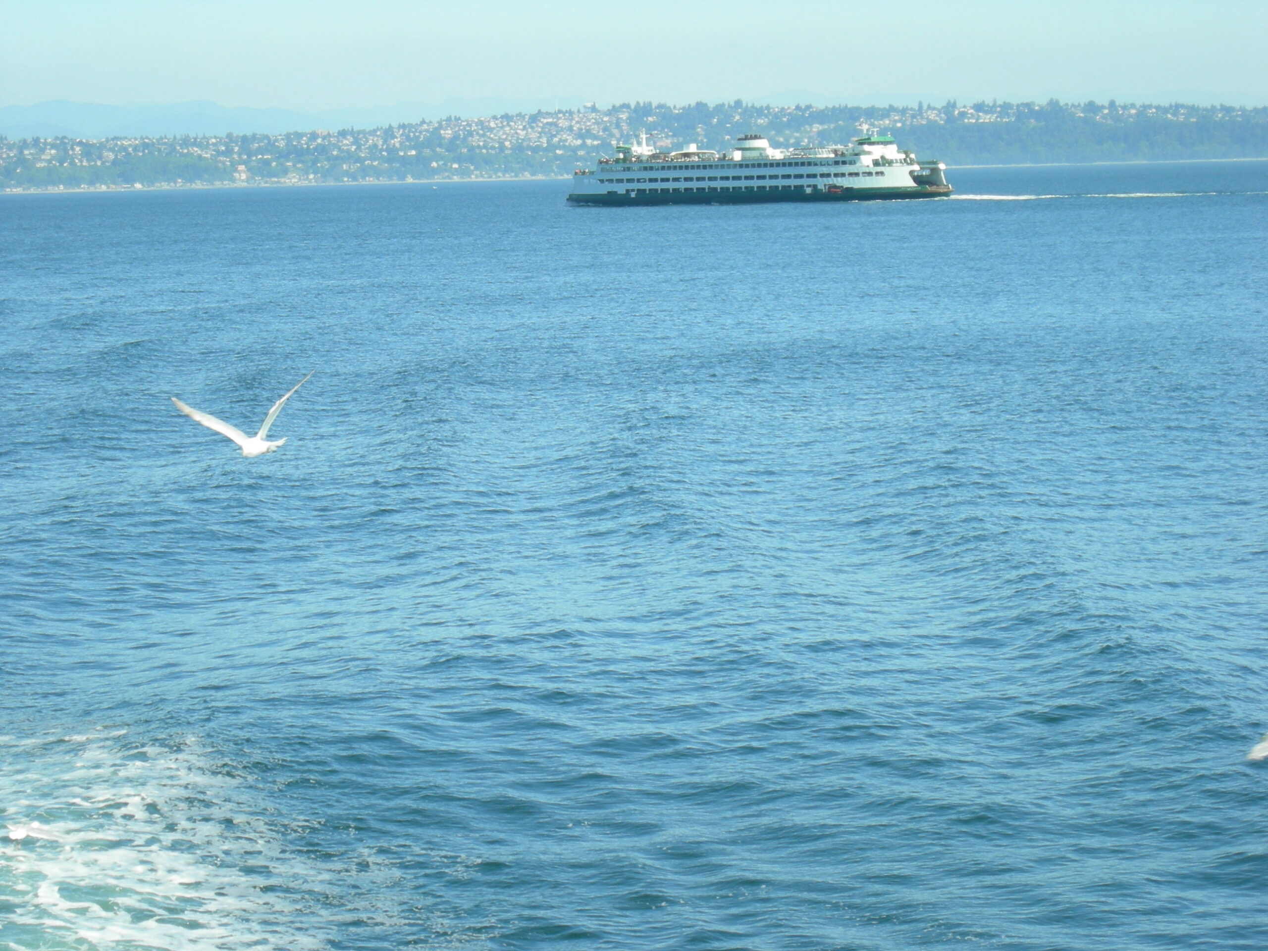 Un traghetto dello Stato di Washington attraversa il Puget Sound