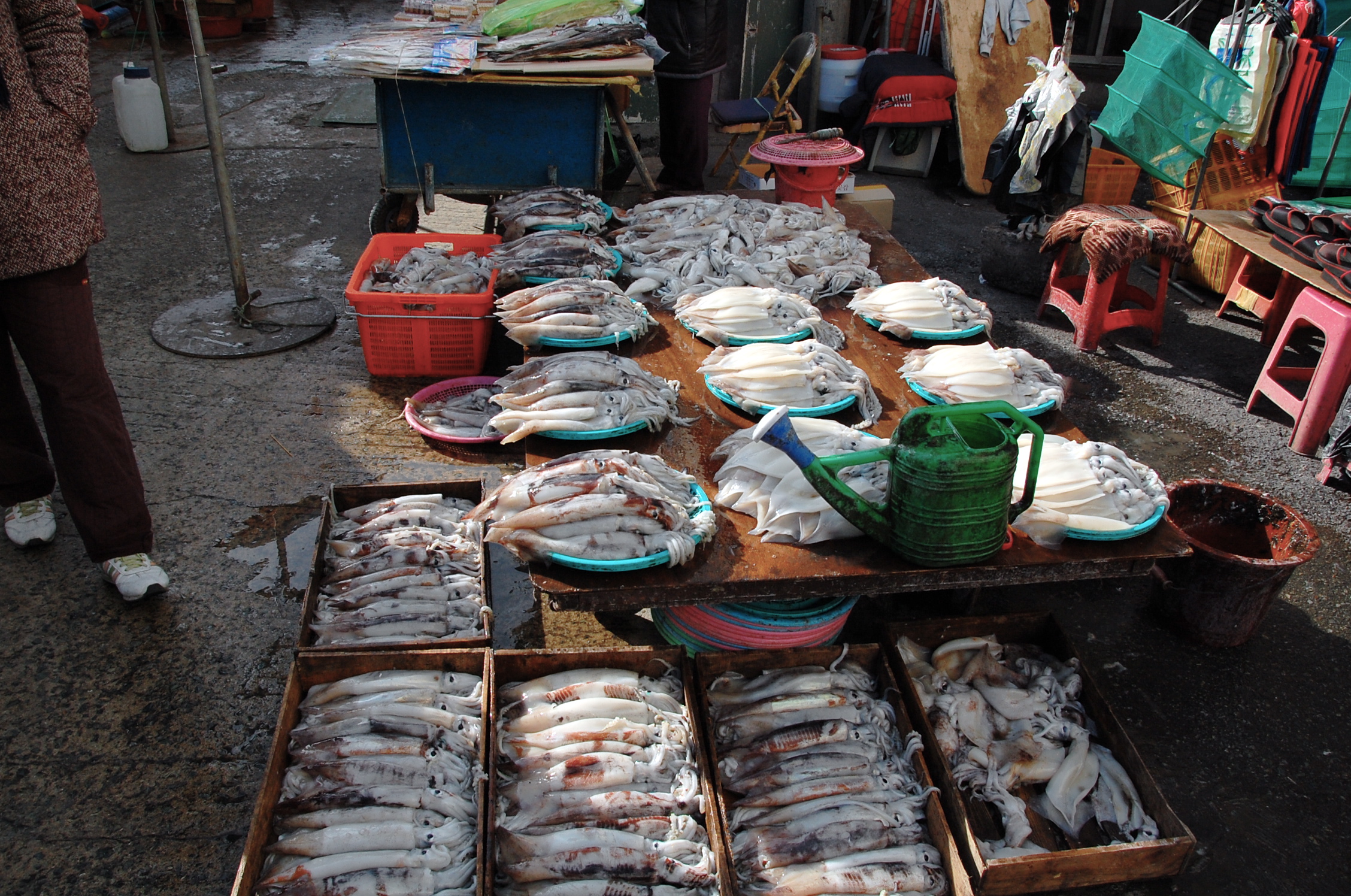 I banchi di pesce del mercato Jagalchi, il più grande della Corea