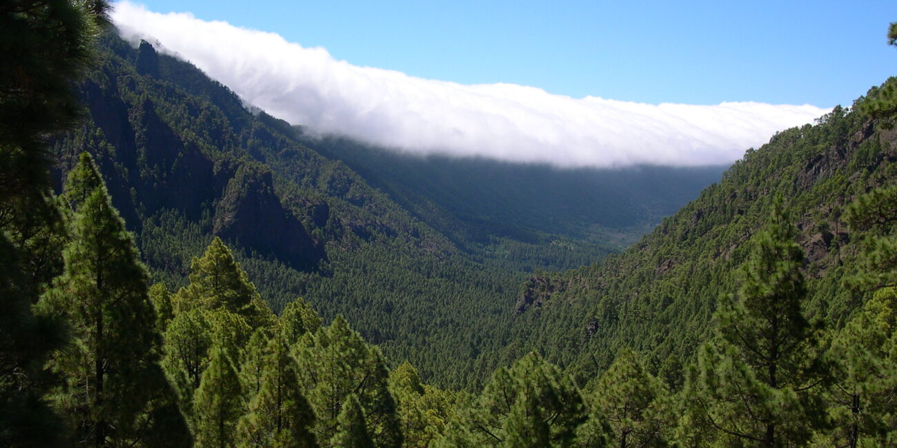 Il grande circo eroso della Caldera de Taburiente