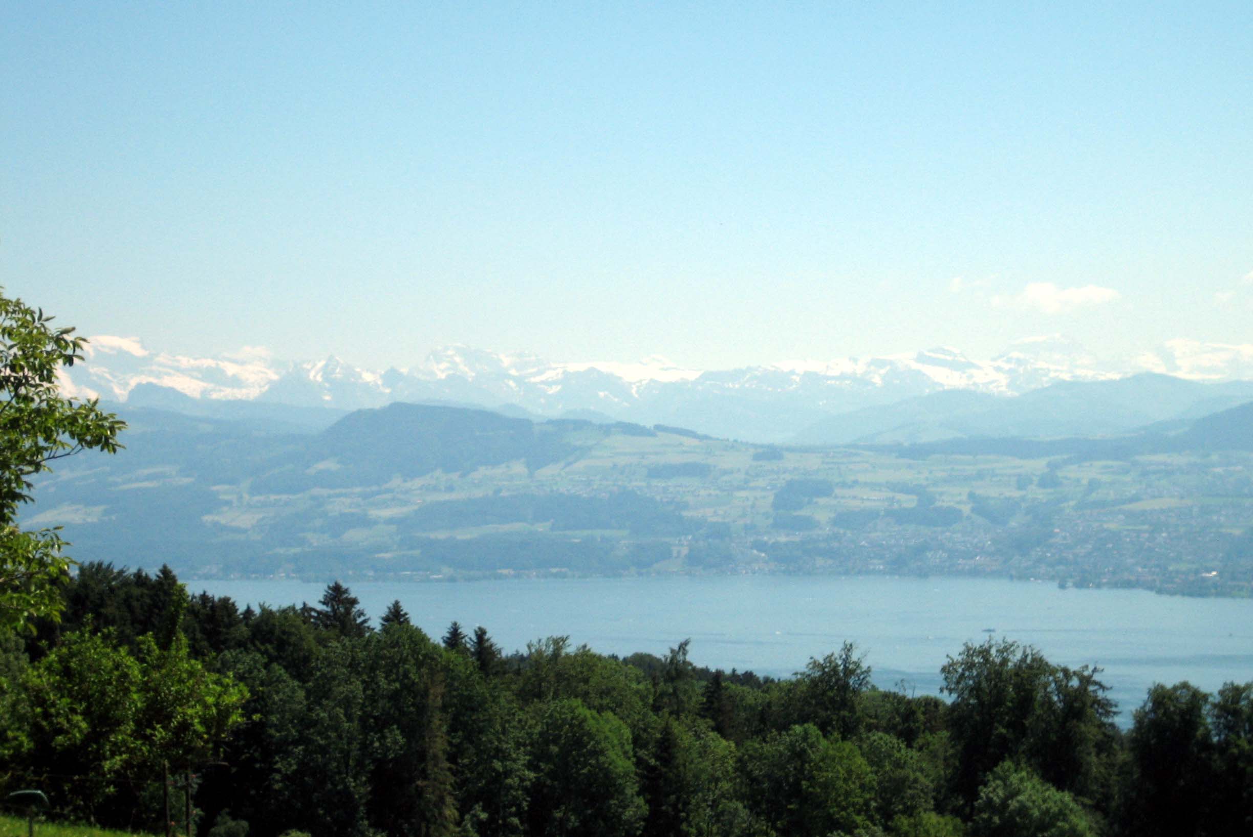 Il Zürichsee e la catena alpina all’orizzonte
